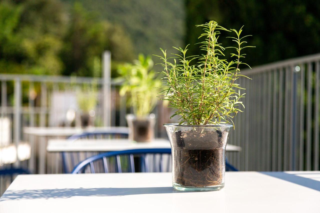 Vistalago Torbole Torbole Sul Garda ภายนอก รูปภาพ